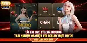 Tài xỉu live stream Hitclub - Trải nghiệm cá cược với dealer trực tuyến