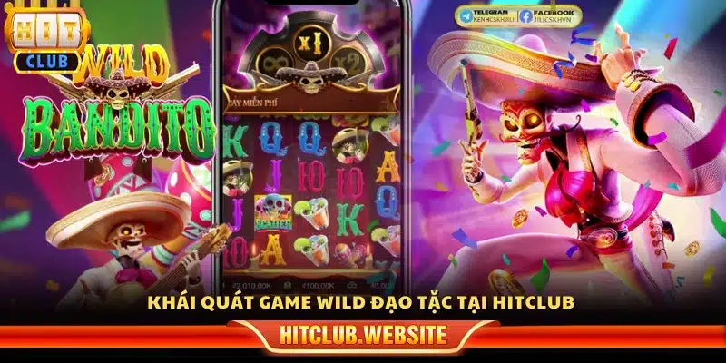 Tìm hiểu về game Wild đạo tặc trên Hitclub